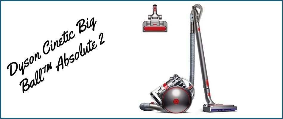 Dyson-Cinetic-Big-Ball™-Absolute-2